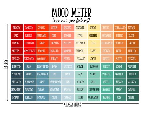 FREE Mood Meter | Free Printable